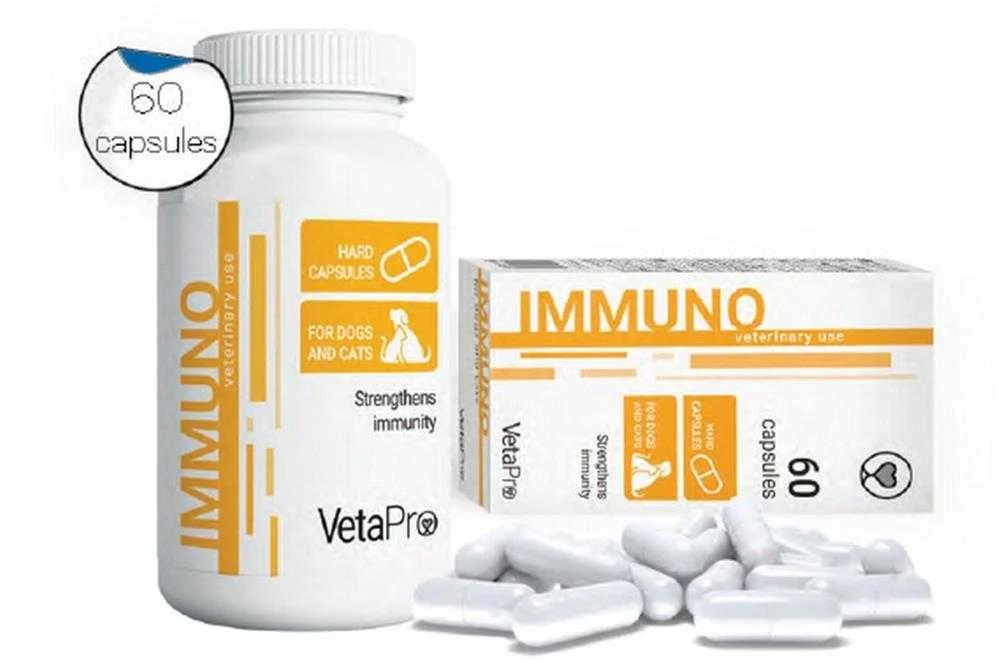 Immuno 60 kapsula