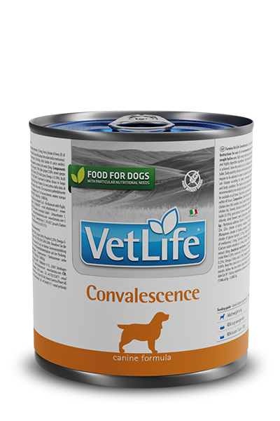 VETLIFE Convalescence za pse 300g